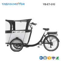 250W Kid/Cargo Electric Delivery Tricycle