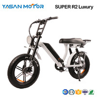 Fat Tire Electric Mountain Bike(SUPER R2 Luxury)