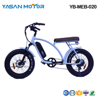 YB-MEB-020(Fat Mountain E Bike)