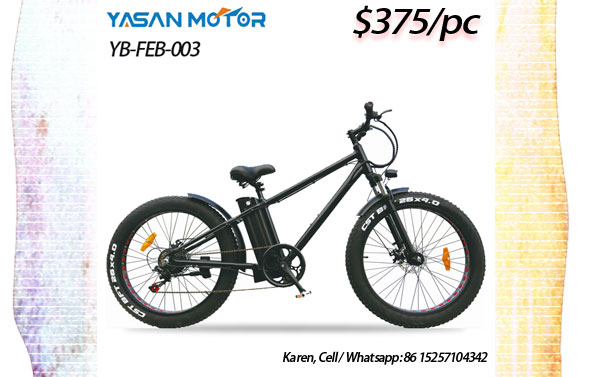 electric bike pay monthly