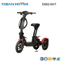 350w x 2 Dual Rear Wheel Drive Trike eScooter ES002-A01T