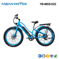 YB-MEB-022(Mountain E Bike)