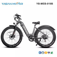 YB-MEB-019B(Mountain E Bike)