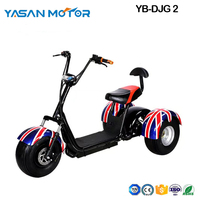 3  Wheel Electric Citycoco scooter DJG 2